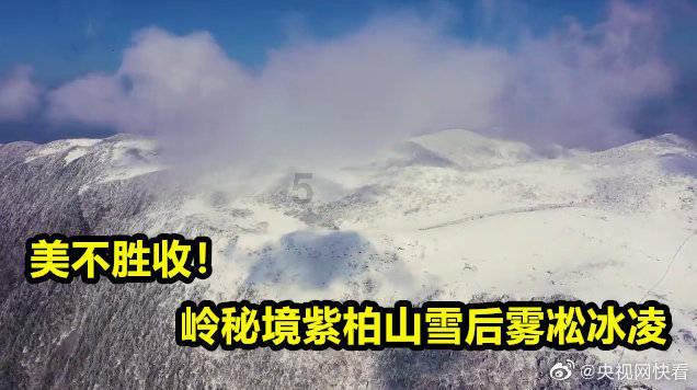 超外星兄妹4